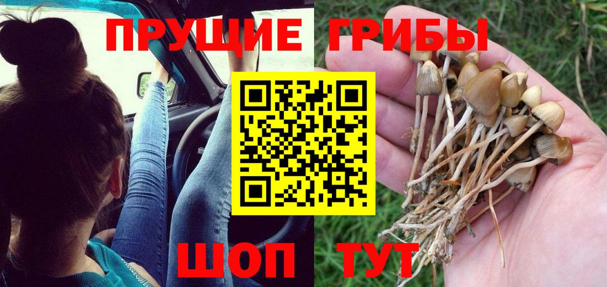 Псилоцибиновые грибы мухоморы  Вход с VPN  Усинск 